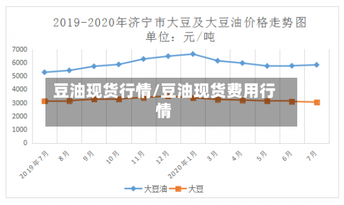 豆油现货行情/豆油现货费用行情