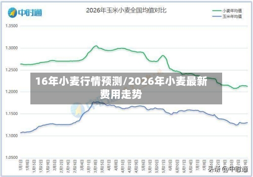 16年小麦行情预测/2026年小麦最新费用走势-第3张图片