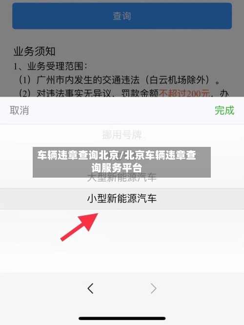 车辆违章查询北京/北京车辆违章查询服务平台-第3张图片