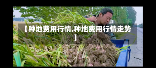 【种地费用行情,种地费用行情走势】