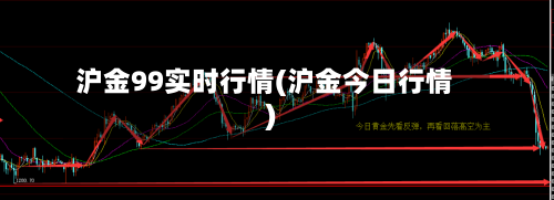 沪金99实时行情(沪金今日行情)