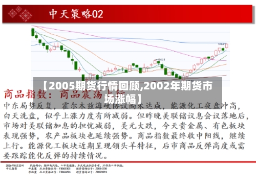 【2005期货行情回顾,2002年期货市场涨幅】-第3张图片