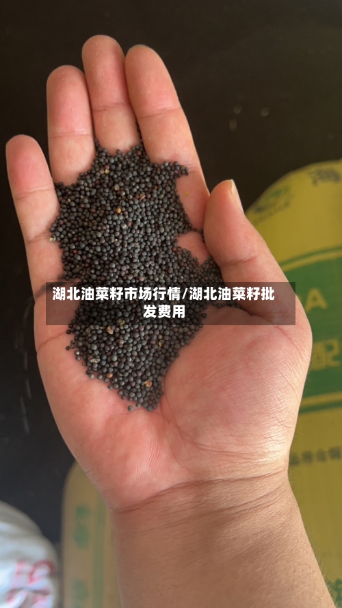 湖北油菜籽市场行情/湖北油菜籽批发费用-第3张图片
