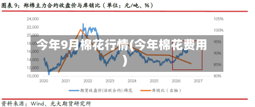 今年9月棉花行情(今年棉花费用)-第2张图片