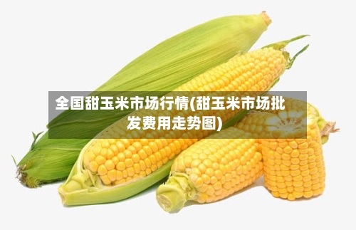 全国甜玉米市场行情(甜玉米市场批发费用走势图)