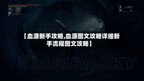 【血源新手攻略,血源图文攻略详细新手流程图文攻略】
