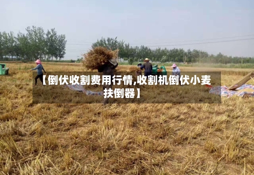 【倒伏收割费用行情,收割机倒伏小麦扶倒器】-第2张图片