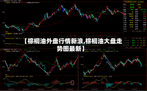【棕榈油外盘行情新浪,棕榈油大盘走势图最新】-第2张图片