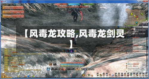 【风毒龙攻略,风毒龙剑灵】-第2张图片
