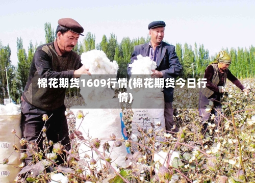 棉花期货1609行情(棉花期货今日行情)-第3张图片