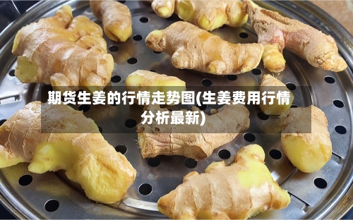 期货生姜的行情走势图(生姜费用行情分析最新)
