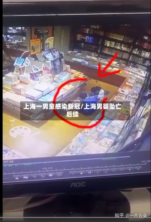 上海一男童感染新冠/上海男婴坠亡后续