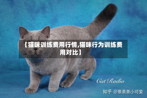 【猫咪训练费用行情,猫咪行为训练费用对比】-第2张图片