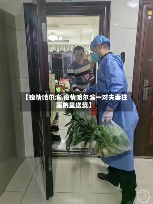 【疫情哈尔滨,疫情哈尔滨一对夫妻往医院里送菜】