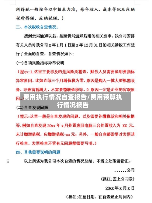 费用执行情况自查报告/费用预算执行情况报告