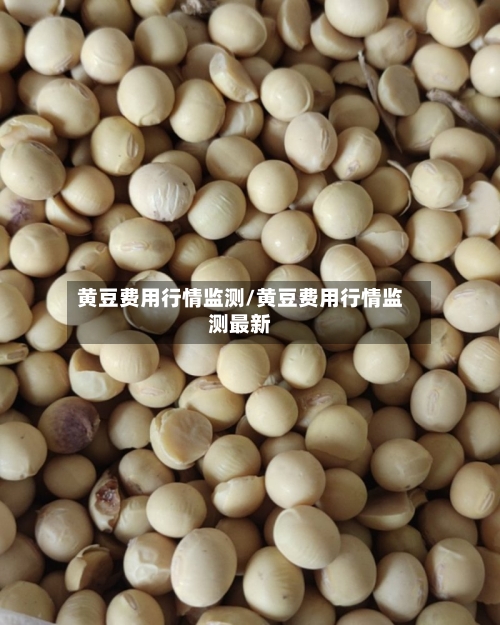 黄豆费用行情监测/黄豆费用行情监测最新