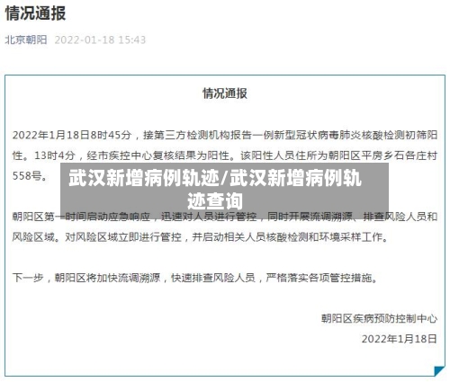 武汉新增病例轨迹/武汉新增病例轨迹查询-第2张图片