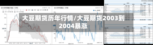 大豆期货历年行情/大豆期货2003到2004暴涨