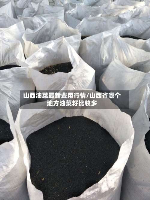 山西油菜最新费用行情/山西省哪个地方油菜籽比较多-第2张图片