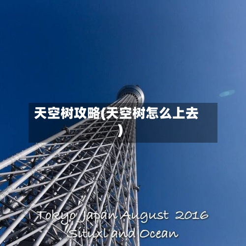 天空树攻略(天空树怎么上去)-第3张图片