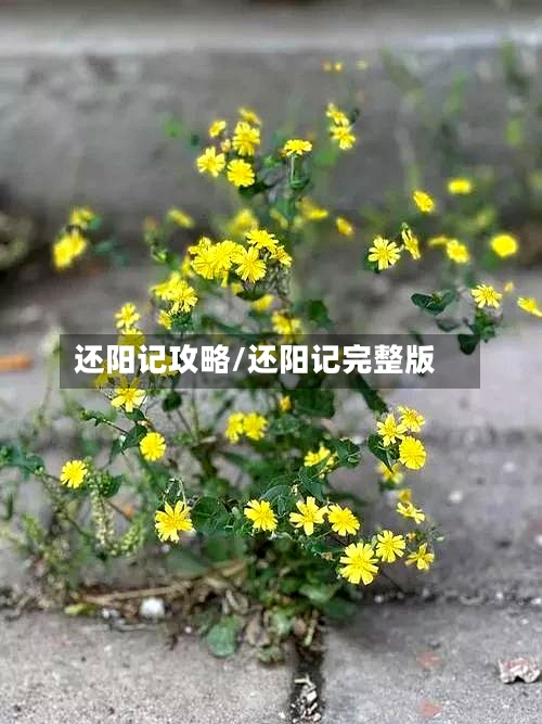 还阳记攻略/还阳记完整版