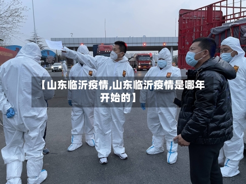 【山东临沂疫情,山东临沂疫情是哪年开始的】-第2张图片