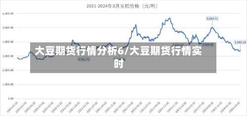 大豆期货行情分析6/大豆期货行情实时