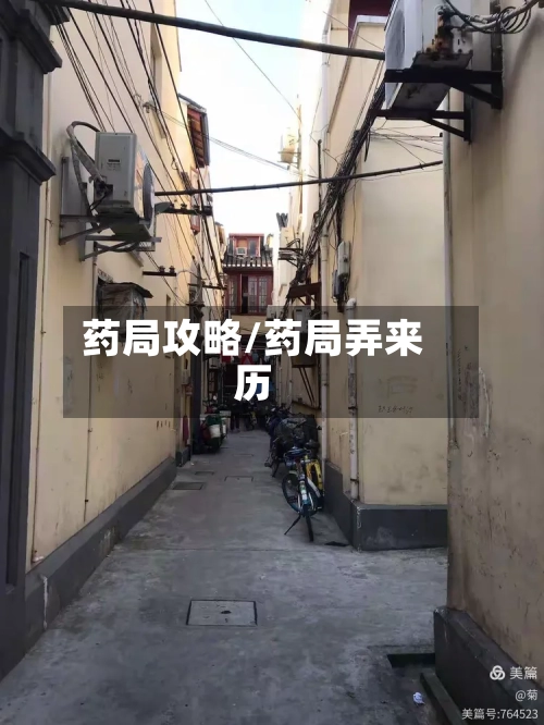 药局攻略/药局弄来历-第2张图片