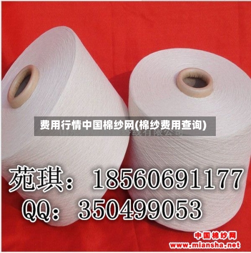 费用行情中国棉纱网(棉纱费用查询)