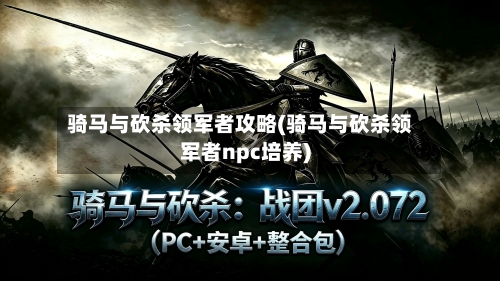 骑马与砍杀领军者攻略(骑马与砍杀领军者npc培养)-第2张图片