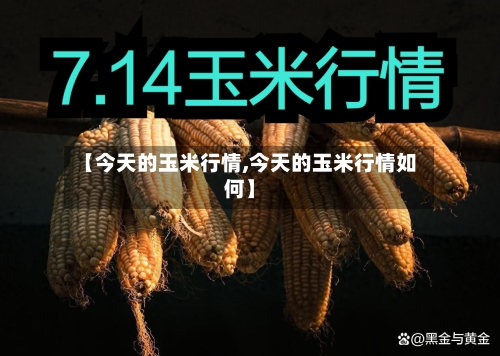 【今天的玉米行情,今天的玉米行情如何】