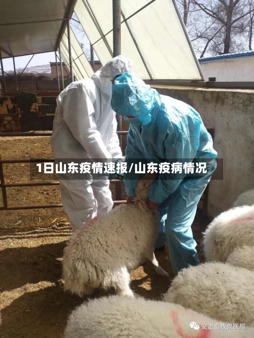 1日山东疫情速报/山东疫病情况-第2张图片