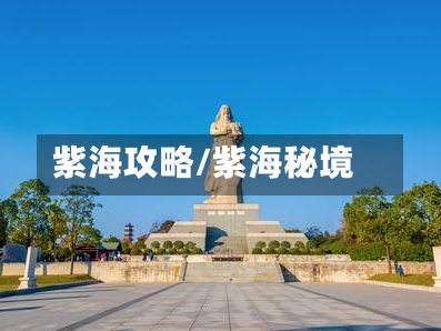 紫海攻略/紫海秘境