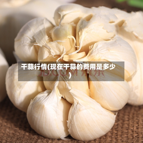 干蒜行情(现在干蒜的费用是多少)