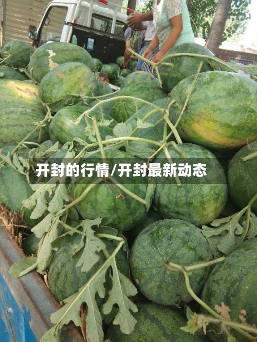 开封的行情/开封最新动态-第2张图片
