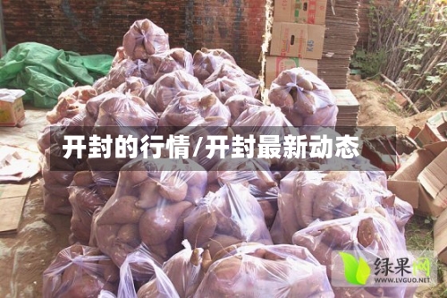 开封的行情/开封最新动态-第3张图片