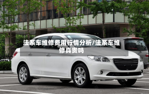 法系车维修费用行情分析/法系车维修真贵吗-第3张图片