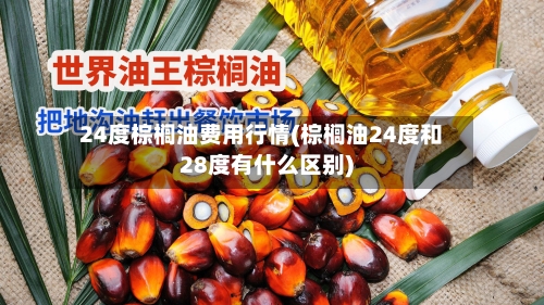 24度棕榈油费用行情(棕榈油24度和28度有什么区别)-第2张图片