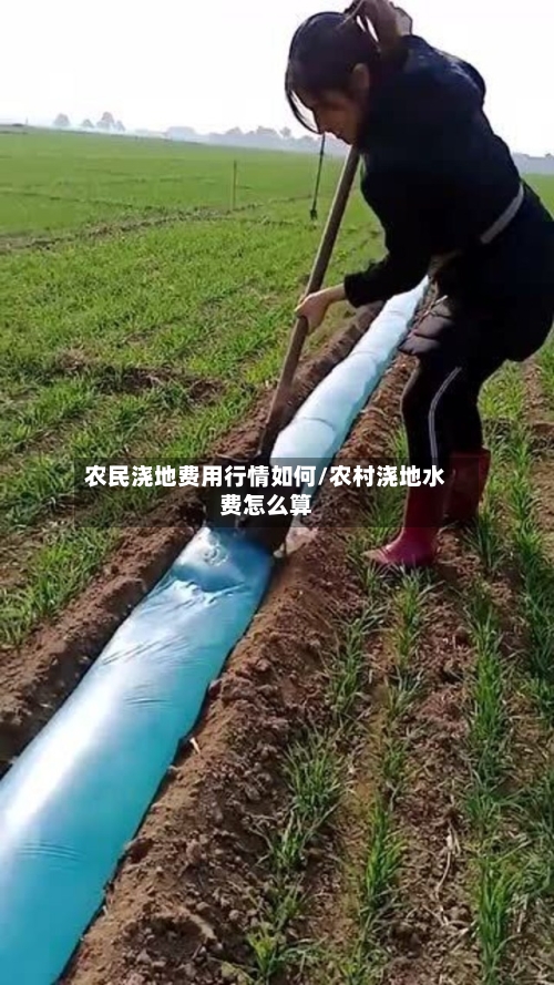 农民浇地费用行情如何/农村浇地水费怎么算-第2张图片