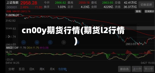 cn00y期货行情(期货l2行情)-第2张图片