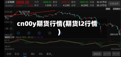 cn00y期货行情(期货l2行情)-第3张图片