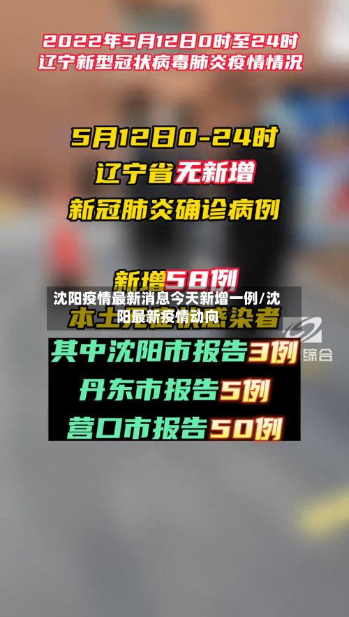 沈阳疫情最新消息今天新增一例/沈阳最新疫情动向-第2张图片