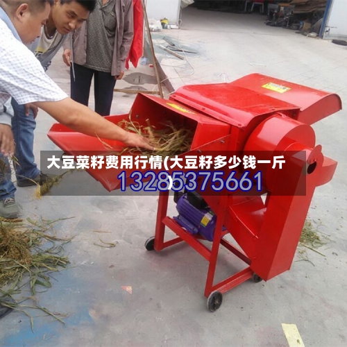 大豆菜籽费用行情(大豆籽多少钱一斤)-第2张图片