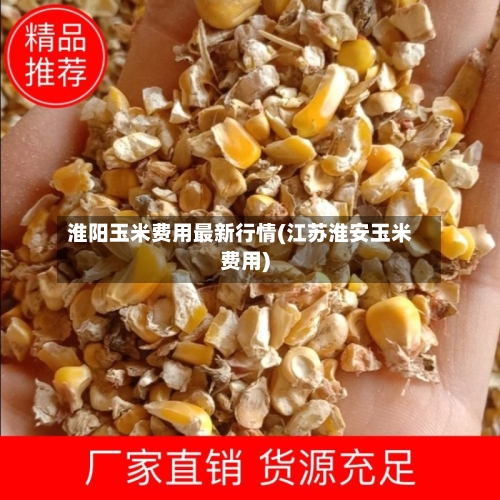 淮阳玉米费用最新行情(江苏淮安玉米费用)-第2张图片