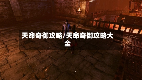 天命奇御攻略/天命奇御攻略大全