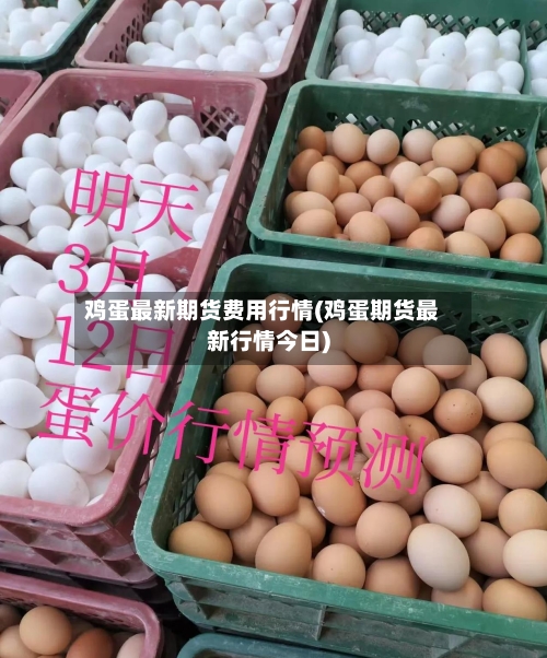 鸡蛋最新期货费用行情(鸡蛋期货最新行情今日)-第2张图片