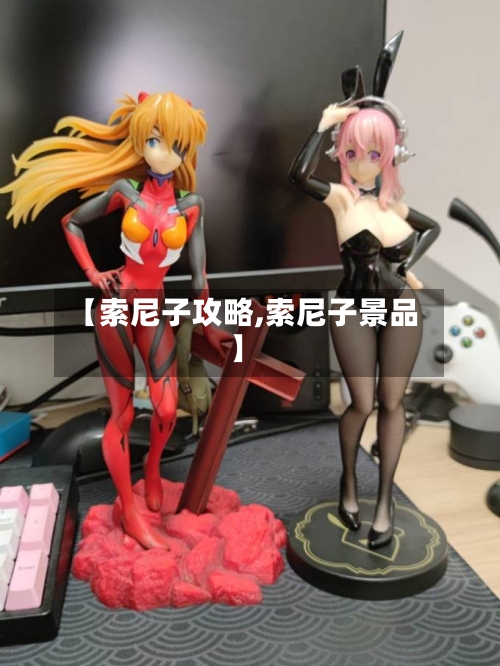 【索尼子攻略,索尼子景品】-第3张图片