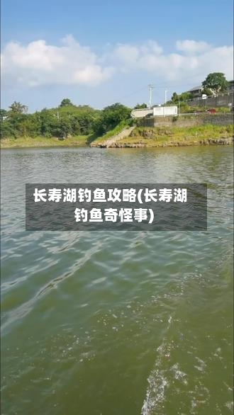 长寿湖钓鱼攻略(长寿湖钓鱼奇怪事)