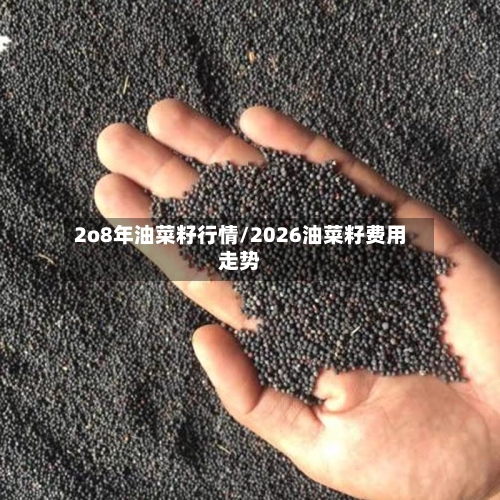 2o8年油菜籽行情/2026油菜籽费用走势-第2张图片