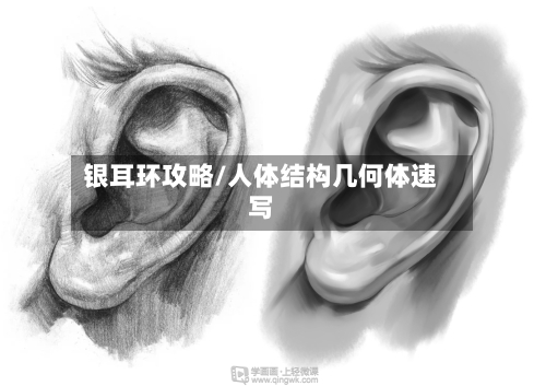 银耳环攻略/人体结构几何体速写
